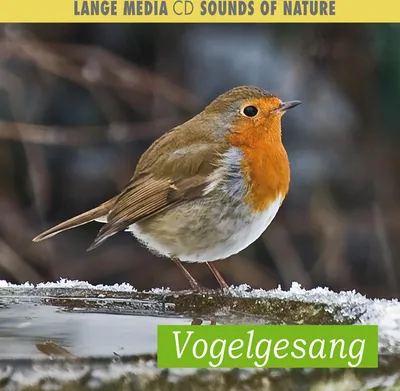 Produktbild von Naturgeräusche - Vogelgesang