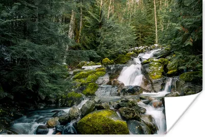 Produktbild von MuchoWow® Poster Natur - Wasserfall - Bäume - Herbst 120x80 cm - Bilder