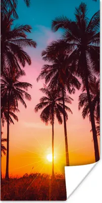 Produktbild von MuchoWow® Poster Palme - Sonnenuntergang - Horizont - Strand - Orange - Rosa 20x40 cm - Plakat - Foto