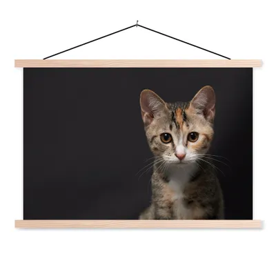 Produktbild von MuchoWow® Textilposter Katze - Schwarz - Porträt 60x40 cm mit holzfarbenen Rahmen - Bilder