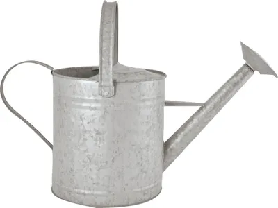 Produktbild von Esschert Design Altzink Gießkanne 8,75 Liter; OZ46