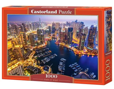 Image de Puzzle 1000 pièces Dubaï la nuit 103256