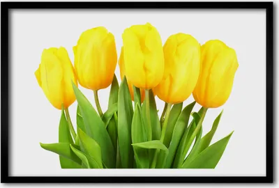 Produktbild von Bild 60x40 MDF-Rahmen, Wandkunst gelbe Tulpen