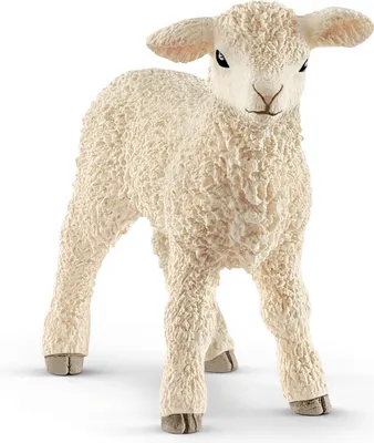 Produktbild von Schleich 13883 Farm World Lamm / Schafe - Spielfigur