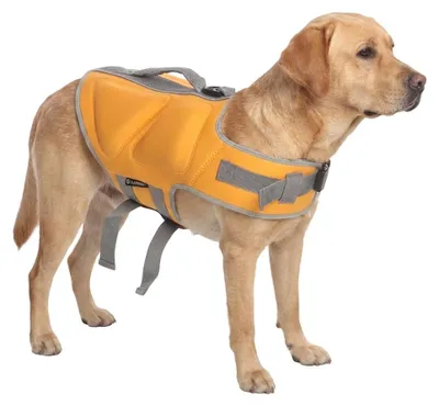 Image de Gilet de Sauvetage réglable pour Chien Swimmy
