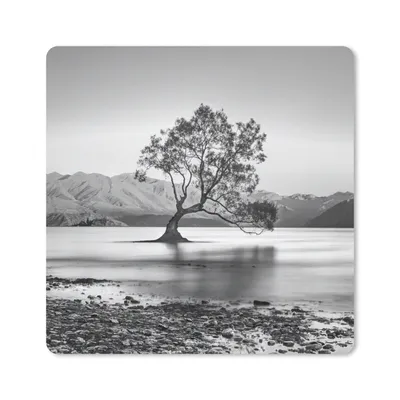 Produktbild von MuchoWow® Mauspad Mousepad Neuseeland - Baum - Schwarz - Weiß 20x20 cm - Mousepads - Maus Mat - Pad - Mausunterlage - Desk Mat - Bureauartikeln