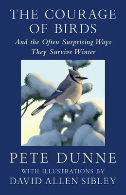 Zdjęcie produktu dla The Courage of Birds