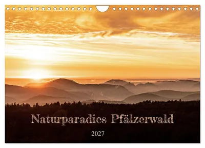 Produktbild von Naturparadies Pfälzerwald (Wandkalender 2027 DIN A4 quer), CALVENDO Monatskalender