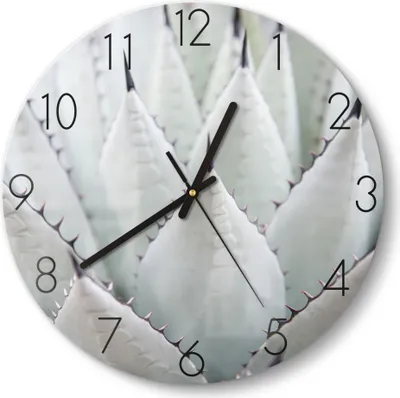 Produktbild von DEQORI Glasuhr Ø30 cm Zahlen 'Agavenästhetik' Wanduhr Glas Uhr Design leise Küchenuhr