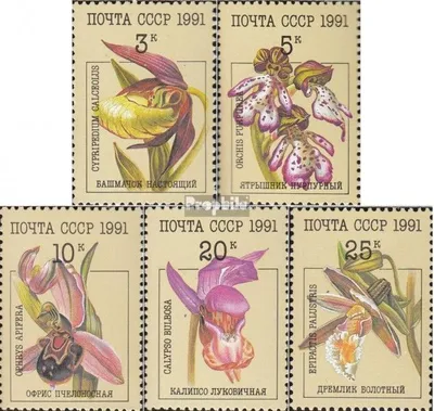 Produktbild von Briefmarken Sowjetunion 1991 Mi 6192-6196 (kompl.Ausg.) gestempelt Orchideen