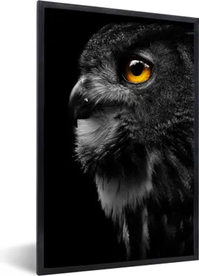 Produktbild von MuchoWow® Gerahmtes Poster Eule - Vogel - Schwarz - Porträt 60x90 cm - Poster mit Schwarzem Bilderrahmen Wandposter Rahmen Foto Bilder - Kunst