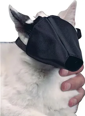Image de Fixation muselière chat BUSTER 1pc