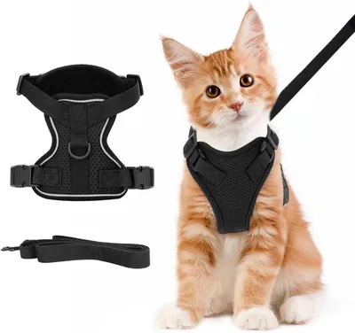 Produktbild von Verstellbares Haustiergeschirr, atmungsaktives Mesh, XS, für kleine Hunde und Katzen