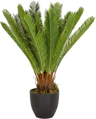 Produktbild von bümö plants Kunstpflanze Palmfarn (Cycas)