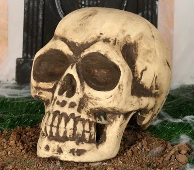 Immagine prodotto di Scheletro Teschio Decorazione Horror Festa di Halloween Creepy Skull Autentico Teschio Look Decorazione di Halloween Per feste spaventose e scene incantevoli, Colore: Beige