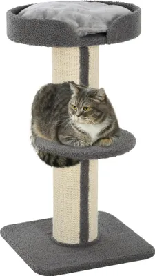 Produktbild von PawHut Katzenbaum Spielbaum Kratzstamm mit Plattform Sisal Plüsch Grau