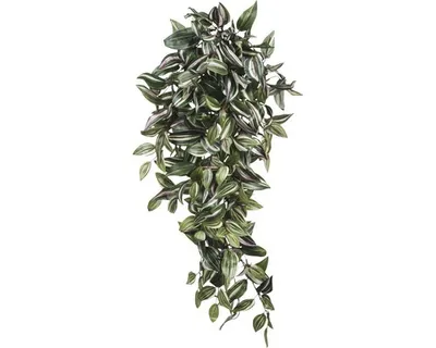 Image de Mica Decorations Tradescantia plante artificielle suspendue - L15 x l30 x H80 cm - Vert