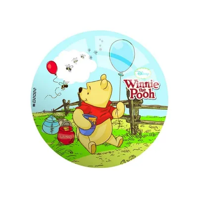 Obrázok produktu pre MONDO Winnie the Pooh, Lopta na hranie