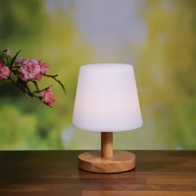 Produktbild von LED Garten Tischlampe - 4 Helligkeitsstufen - dimmbar - H: 22cm - wiederaufladbar per USB - f. Außen