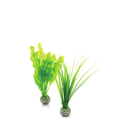 Produktbild von biOrb Pflanzen Set klein grün (46055)