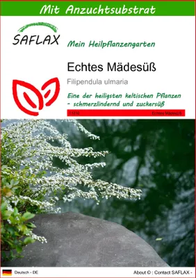 Produktbild von SAFLAX - Echtes Mädesüß - Filipendula ulmaria - 500 Samen - Mit keimfreiem Anzuchtsubstrat