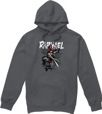 Obrázek produktu pro Teenage Mutant Ninja Turtles - Pánská mikina s kapucí TV8758 (S) (Charcoal)