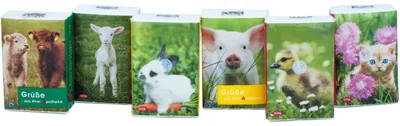 Zdjęcie produktu dla Kieszonkowe chusteczki higieniczne dla dzieci ze zwierzętami, 1 szt