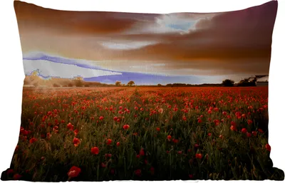 Produktbild von MuchoWow® Outdoor Kissen - Sonnenuntergang über den Mohnblumen in England - 60x40 cm - Wetterfest - Lounge Kissen - Zierkissen - Kissen für Innenräume