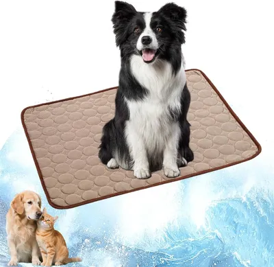 Imagen del producto de Colchoneta refrigerante para mascotas, impermeable, de 70 x 55 cm, antideslizante, ideal para perros y gatos