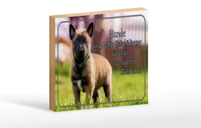 Produktbild von Holzschild Spruch 18x12cm Hunde sind Gottes Entschädigung