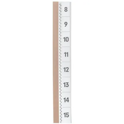 Produktbild von DURABLE Registertaben TABFIX® 200x10mm 5 St., 840219 transparent