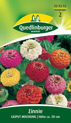 Produktbild von Zinnie, Liliput Mischung
