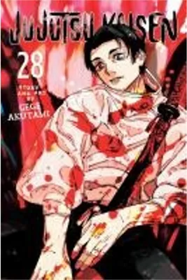 Obrázek produktu pro Jujutsu Kaisen, Vol. 28