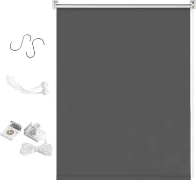 Immagine prodotto di Fiqops tenda verticale 100 x 240 cm tenda da sole per balcone, tenda verticale resistente ai raggi UV, protezione dal vento e privacy, in metallo e poliestere, antracite