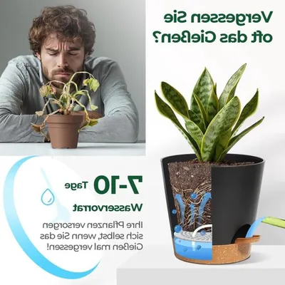 Kunststoff-Blumentopfset mit 3 Stück Φ6,5 cm, schwarze runde Pflanzenpot mit Bewässerungssystem für Innen- und