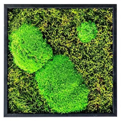 Produktbild von Gardners Mechobraz, 22x22 cm, Kombination aus Moos: Hügelmoos und Flachmoos, Farbe: Schwarz
