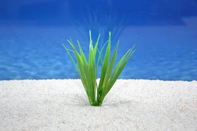 Produktbild von Amtra Bamboo S 12cm künstliche Pflanze Bambus Dekoration