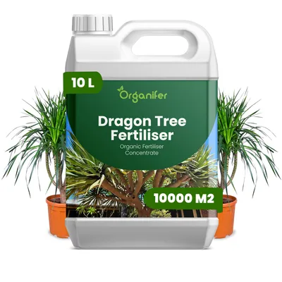 Obrázok produktu pre Dracéna, tekuté hnojivo, 10 litrov, vzorec NPK 2-1-8 – Pre zelené rastliny – Pre zdravé listy a silný rast – Podporuje korene a vitalitu – Organický produkt