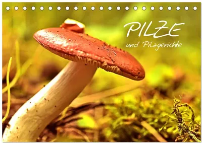 Produktbild von Pilze und Pilzgerichte (Tischkalender 2026 DIN A5 quer), CALVENDO Monatskalender