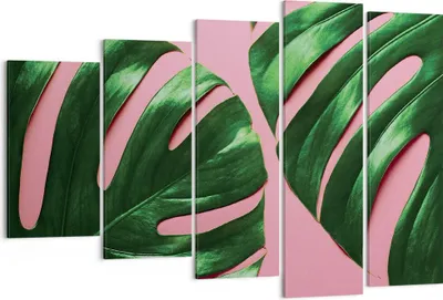 Produktbild von Bild auf Leinwand - Leinwandbild - 5 Teile - Monstera Blatt Rosa - 150x100cm - Wand Bild - Wanddeko - Wandbilder - Leinwanddruck - Bilder - Wanddekoration - Leinwand bilder - Wandbild - EG150x100-4407