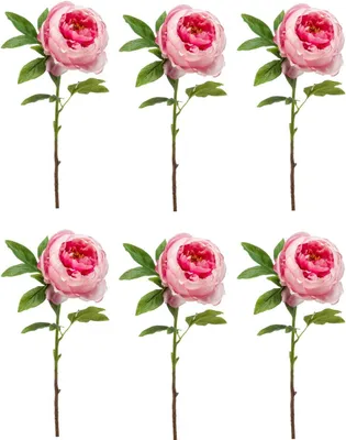 Produktbild von 6er Set künstliche Pfingstrosen Peony mit 1 Blüte pink H. 63cm Emerald