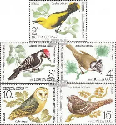 Produktbild von Briefmarken Sowjetunion 1979 Mi 4883-4887 (kompl.Ausg.) gestempelt Vögel als Waldbeschützer