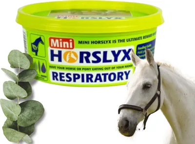 Zdjęcie produktu dla Horslyx Respiratory Masa Energetyczna Dla Koni W Formie Bloków 650g