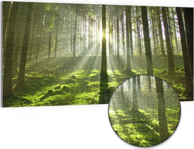 Produktbild von DEQORI Hybrid Leinwand Bild 100x50 cm 'Waldlichtspiele' Wandbild Glas flach modern
