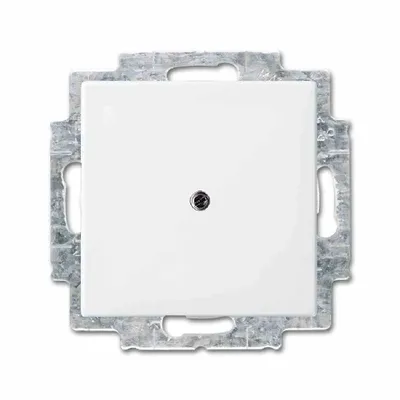 Immagine prodotto di Busch-Jaeger Disco centrale cieco con anello di supporto Busch-balance SI 2CKA001715A0319 2538-914