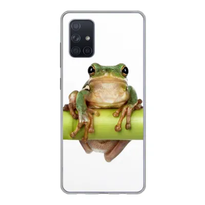 Produktbild von MuchoWow® Handyhülle Schutzhülle Hülle für Samsung Galaxy A51 5G Frosch - Bambus - Weiß Silikon Softcase Handy Hülle - Abbildung