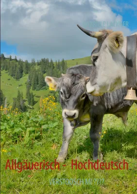 Produktbild von Allgäuerisch - Hochdeutsch