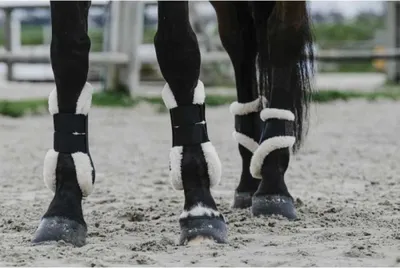 Produktbild von Equitheme Boa Sehnenstiefel Schwarz Full Schwarz Full