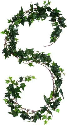 Produktbild von Kunstpflanze Hedera - Efeu - grun - Zweig - 180 cm