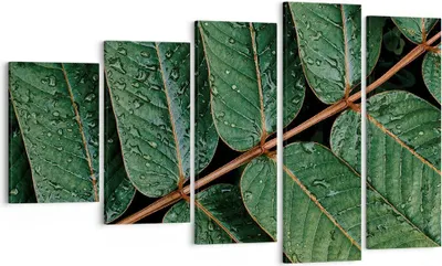 Produktbild von Bild auf Leinwand - Leinwandbild - 5 Teile - Tropfen Wasser Blätter - 100x60cm - Wand Bild - Wanddeko - Wandbilder - Leinwanddruck - Bilder - Wanddekoration - Leinwand bilder - EG100x60-4328